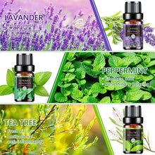 Carica l'immagine nel visualizzatore di Gallery, AESHORY Set di Oli Essenziali per Diffusori 6 x 10ML, 100% Puri Naturali Olio Essenziale Profumate per Aromaterapia, SPA, Massaggio - Lavanda, Tea Tree, Menta Piperita, Eucalipto, Arancia Dolce