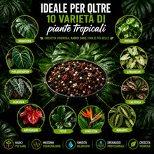 Carica l'immagine nel visualizzatore di Gallery, Clorophilla Tropical Mix PRO - Terriccio Premium per Monstera, Philodendron, Alocasia, Anthurium e Piante Tropicali | Su
