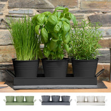 Carica l'immagine nel visualizzatore di Gallery, CKB LTD Set di 3 vasi per erbe aromatiche in metallo con vassoio antigoccia, per interni, per davanzale, colorati, per l