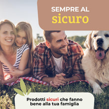 Carica l'immagine nel visualizzatore di Gallery, Albagarden - Insetticida Formiche E Scarafaggi Per Ambienti - Insetticida Multinsetto Contro Zanzare Mosche Vespe E Tutt