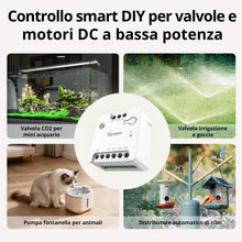 Carica l'immagine nel visualizzatore di Gallery, SONOFF MINI-ZBD Zigbee 3.0 - Relè a contatto a secco, ingresso AC/DC, compatibile con hub Zigbee, funziona con Alexa e G