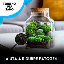 Carica l'immagine nel visualizzatore di Gallery, ZOMAGARDEN - Carbone Vegetale per Piante - Fertilizzante e Inerte Naturale per Migliorare il Suolo - Ideale per Orchidee