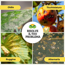 Carica l'immagine nel visualizzatore di Gallery, Albagarden - Bicarbonato Di Potassio Bio Per Agricoltura Naturale E Piante - Disacidan Contro Oidio Muffa Grigia Peronos