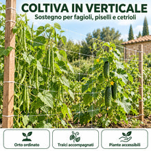 Carica l'immagine nel visualizzatore di Gallery, Rete per Piante Rampicanti e Ortaggi Bianca 10 x 1,7 m