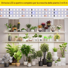 Carica l'immagine nel visualizzatore di Gallery, Luce a LED per Piante 24V 2M 840 LED Spettro Completo Alto PPFD 60W Flessibile Tagliabile e Autoadesiva Striscia LED per