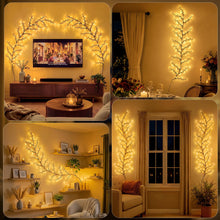 Carica l'immagine nel visualizzatore di Gallery, Ollny Willow Vine - Catena luminosa con 144 LED, per camera da letto