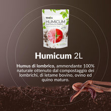 Carica l'immagine nel visualizzatore di Gallery, BIOTICA Humus di Lombrico 100% 2L, Concime Piante, Fiori e Orto
