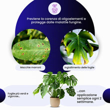 Carica l'immagine nel visualizzatore di Gallery, GebEarth® | Rame e Zolfo Per Piante Spray 1L | Integratore per Piante contro Ingiallimenti, Carenze, Macchie Brune, Oidi