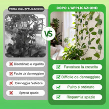 Carica l'immagine nel visualizzatore di Gallery, 70 Clip per Piante Rampicanti, Supporto Murale Autocollante per Piante d’Interno, Ganci da Parete per Pothos, Philodendr