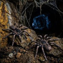Carica l'immagine nel visualizzatore di Gallery, 2 Pezzi Ragno di Halloween Realistico Ragni Modello per Scherzi Decorazioni