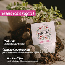 Carica l'immagine nel visualizzatore di Gallery, 10x "Buon Natale" bombe di semi – eco-regalo e piccolo pensiero natalizio – segnaposto sostenibile e portafortuna per co