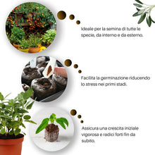 Carica l'immagine nel visualizzatore di Gallery, GebEarth® | Dischetti di Torba per Germinazione | Confezione da 24 pz di Dischetti di Torba | Ideali per Far Germinare T