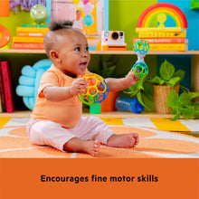 Carica l&#39;immagine nel visualizzatore di Gallery, Bright Starts, Set Regalo con Giocattoli Oball Facili da afferrare - Grasp The Day, Confezione da 2 Giocattoli con Pallina e sonaglio, privi di BPA, Unisex, 0+ Mesi