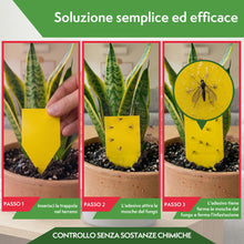 Carica l'immagine nel visualizzatore di Gallery, Pattler Trappola Moscerini per Piante da Interno – 60 Pezzi. Trappole Cromotropiche Gialle Adesive a Doppio Lato, Anti M