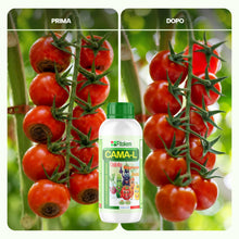 Carica l'immagine nel visualizzatore di Gallery, Fitokem CAMA-L Concime per Orto Liquido 1KG Concime per Piante da Frutto con Calcio, Magnesio e Azoto Fertilizzante Orto