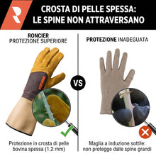 Carica l'immagine nel visualizzatore di Gallery, ROSTAING Guanti Antispine Pelle Rovi Rose Giardinaggio EN 388