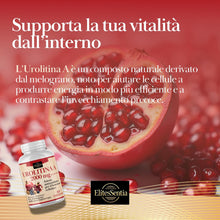 Carica l'immagine nel visualizzatore di Gallery, ElitesSentia Urolitina A Integratore: 120 Compresse Per Due Mesi Di Scorta -2000 mg Con Estratto Di Melograno, Juglans R