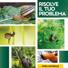 Carica l'immagine nel visualizzatore di Gallery, Albagarden - Lumachicida Naturale con Ossido di Ferro - Barriera Lumache e Limacce a Base di Minerali - per Piante Orto e Giardino - Granulare 750 gr