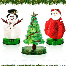 Carica l'immagine nel visualizzatore di Gallery, Set di 3 mini albero di Natale, magico, albero di Natale, magico, kit per la scienza e giocattoli, istruzioni per l'apprendimento (lingua italiana non garantita)