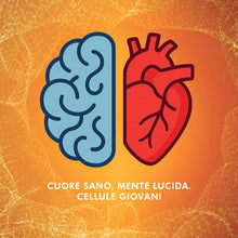 Carica l'immagine nel visualizzatore di Gallery, Spermidina Pura Alto Dosaggio | 6mg per dose | 120 capsule | Supporto Cellulare Anti-Age con Benefici per Cuore, Cervell