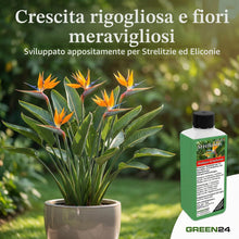 Carica l'immagine nel visualizzatore di Gallery, Fertilizzante Per Strelitzia Fertilizzante Per Heliconia, Fertilizzante Liquido Premium Dalla Linea Professionale