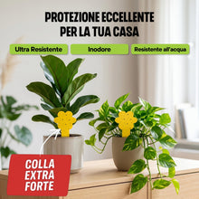 Carica l'immagine nel visualizzatore di Gallery, OLLIE Trappola per Moscerini delle Piante, 30 Trappole Cromotropiche Gialle