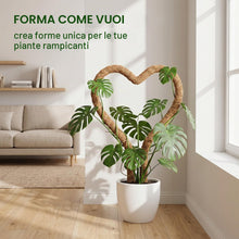 Carica l'immagine nel visualizzatore di Gallery, 3 Pezzi Sostegno per Piante Rampicanti,Supporti Piante,Sostegno Rampicanti Casa Giardino Balcone