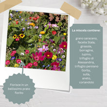 Carica l'immagine nel visualizzatore di Gallery, Semi di Fiori "Grazie" | Idee Regalo e Pensierino Originale | Piccolo Regalo per Colleghi, Maestre e Ospiti | Bomboniere