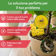Carica l'immagine nel visualizzatore di Gallery, Pattler Trappola Moscerini per Piante da Interno – 60 Pezzi. Trappole Cromotropiche Gialle Adesive a Doppio Lato, Anti M