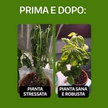 Carica l'immagine nel visualizzatore di Gallery, LERAVA Ossicloruro di Rame (800 g) - Verderame Rameico BIO per piante - Fungicida contro Peronospora e Bolla del Pesco -