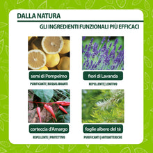 Carica l'immagine nel visualizzatore di Gallery, Helan, Occhio Al Pidocchio, Lozione Preventiva, Trattamento Pidocchi E Lendini Forte, Spray No Gas per Prevenzione Quoti