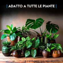 Carica l'immagine nel visualizzatore di Gallery, ZOMA VULC Lapillo vulcanico per piante 10/16 mm, migliora drenaggio e composizione del substrato, Ideale per bonsai, pia