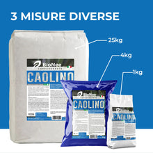 Carica l'immagine nel visualizzatore di Gallery, Caolino corroborante potenziatore difese naturali MOSCA DELL'OLIVO (1 kg)