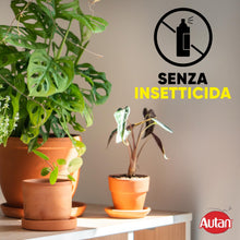 Carica l'immagine nel visualizzatore di Gallery, Autan Trappola Anti Tarme Alimentari, Efficace fino a 8 Settimane, 2 Conf.