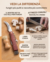 Carica l'immagine nel visualizzatore di Gallery, Coltello per Funghi con Spazzola, Kit 2 Pezzi in Legno di Pero e Zucca Naturale, Lama Curva Affilata per Raccolta Sosten