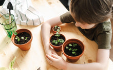 Carica l'immagine nel visualizzatore di Gallery, Clementoni Scienza e Gioco Lab - La Mia Serra, Laboratorio di Botanica Bambini 7+ Anni, con Semi da Agricoltura Biologic
