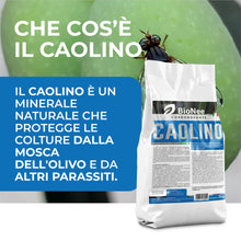 Carica l'immagine nel visualizzatore di Gallery, Caolino corroborante potenziatore difese naturali MOSCA DELL'OLIVO (1 kg)