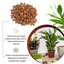 Carica l'immagine nel visualizzatore di Gallery, GebEarth® | Argilla Espansa per Piante in Vaso e Idrocoltura | Pezzatura 8-16 mm | Granuli Leggeri di Argilla Espansa Na