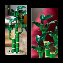 Carica l'immagine nel visualizzatore di Gallery, LEGO Botanicals Bambù del Buon Auspicio, Pianta Artificiale da Arredamento Interno con Vaso Finto, Decorazione di Casa o Ufficio, Idea Regalo per Donna, Uomo e Adulti dalla Botanical Collection 10344