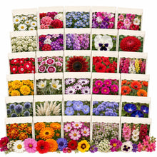 Carica l'immagine nel visualizzatore di Gallery, Nojus - Collezione di semi di fiori e prato da giardino - 30 varietà - Semi di fiori per bordure, vasi da balcone, giard