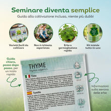 Carica l'immagine nel visualizzatore di Gallery, Nojus - 15 Confezioni di Semi di Erbe Varie - Massima Qualità -Pedaggio per Bevande - Kit di Semi di Piante Varie - Semi