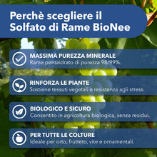 Carica l'immagine nel visualizzatore di Gallery, Solfato di Rame | Concime Inorganico Puro 98/99% | Rame Solubile 25% | Uso Agricolo e Biologico | Residuo Zero | Rame Pe