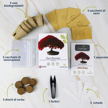 Carica l'immagine nel visualizzatore di Gallery, Cultivea Mini - Bonsai Ready-to-Grow Kit - Semi francesi 100% ecologici - Giardino e decorazione - Idea regalo (Mela rossa, Cercis cinese, Ginepro, Liquidambar, Abete rosso)