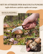 Carica l'immagine nel visualizzatore di Gallery, Coltello per Funghi con Spazzola, Kit 2 Pezzi in Legno di Pero e Zucca Naturale, Lama Curva Affilata per Raccolta Sosten