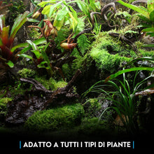 Carica l'immagine nel visualizzatore di Gallery, ZOMAGARDEN - Carbone Vegetale per Piante - Fertilizzante e Inerte Naturale per Migliorare il Suolo - Ideale per Orchidee
