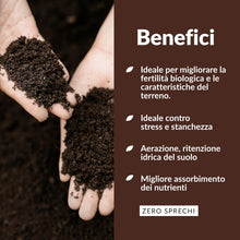 Carica l'immagine nel visualizzatore di Gallery, BIOTICA Humus di Lombrico 100% 2L, Concime Piante, Fiori e Orto