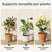 Carica l'immagine nel visualizzatore di Gallery, Bamworld Set di 6 Pali di Supporto Semicircolari per Piante, Resistenti e Versatili, con Anello di Supporto per Piante, 