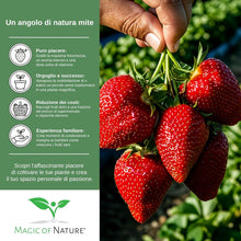 Carica l'immagine nel visualizzatore di Gallery, Magic of Nature: Semi di Fragola Gigante circa 100 pz