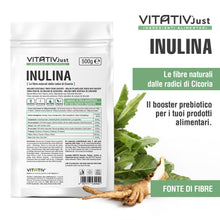 Carica l&#39;immagine nel visualizzatore di Gallery, VITATIV Inulina da Cicoria in Polvere Pura 500g | Fibra Vegetale Prebiotica da Radici di Cicoria | ALTA QUALITA