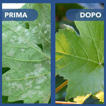 Carica l'immagine nel visualizzatore di Gallery, Solfato di Rame | Concime Inorganico Puro 98/99% | Rame Solubile 25% | Uso Agricolo e Biologico | Residuo Zero | Rame Pe